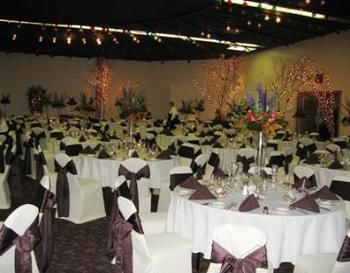 Alma Comfortable Inn Bagian luar foto